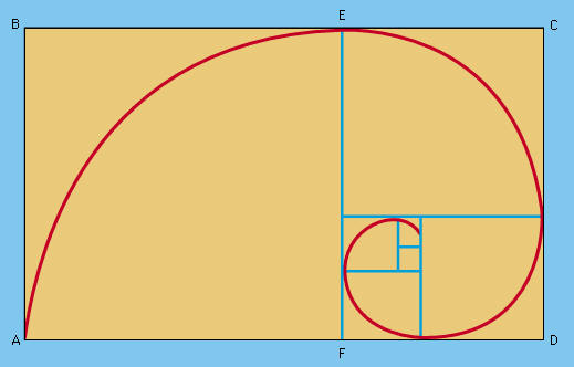 golden rectangle examples